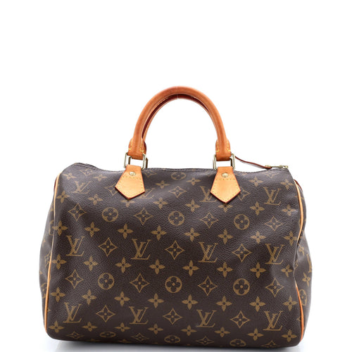Speedy Handbag Monogram Canvas 30