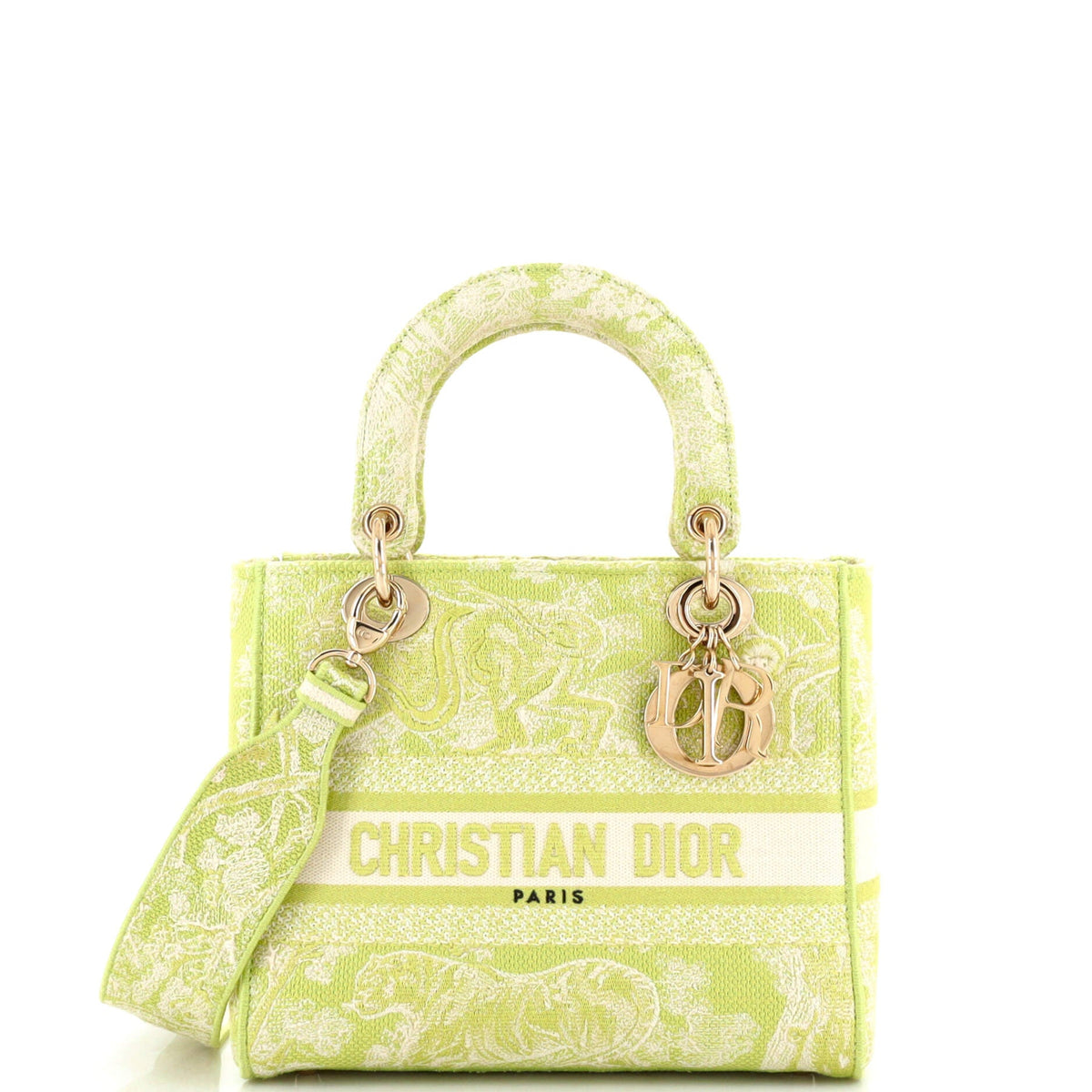 Christian Dior Lady D-Lite Bag Embroidered Canvas Medium