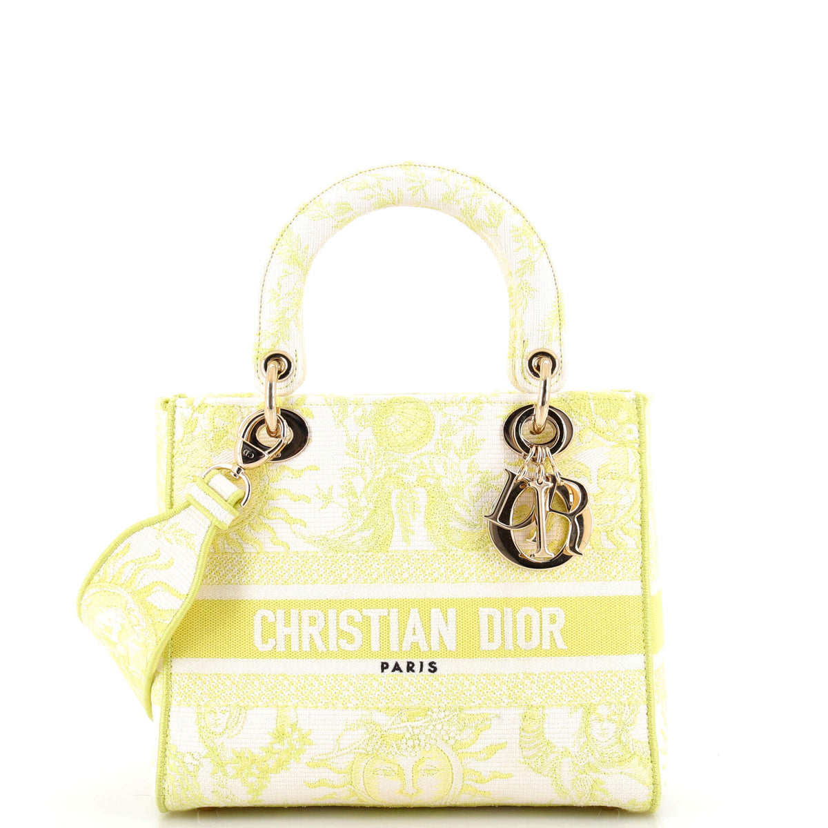 Christian Dior Lady D-Lite Bag Embroidered Canvas Medium
