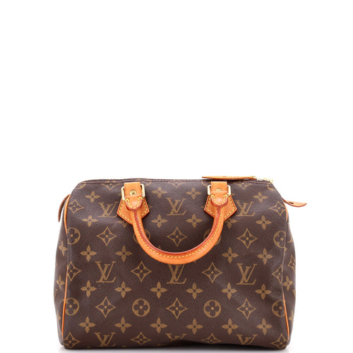 Speedy Handbag Monogram Canvas 25
