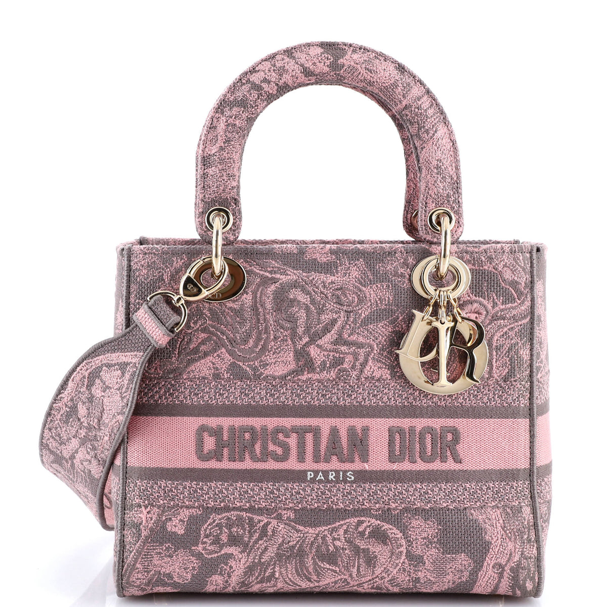 Christian Dior Toile de Jouy Lady D-Lite Bag Embroidered Canvas