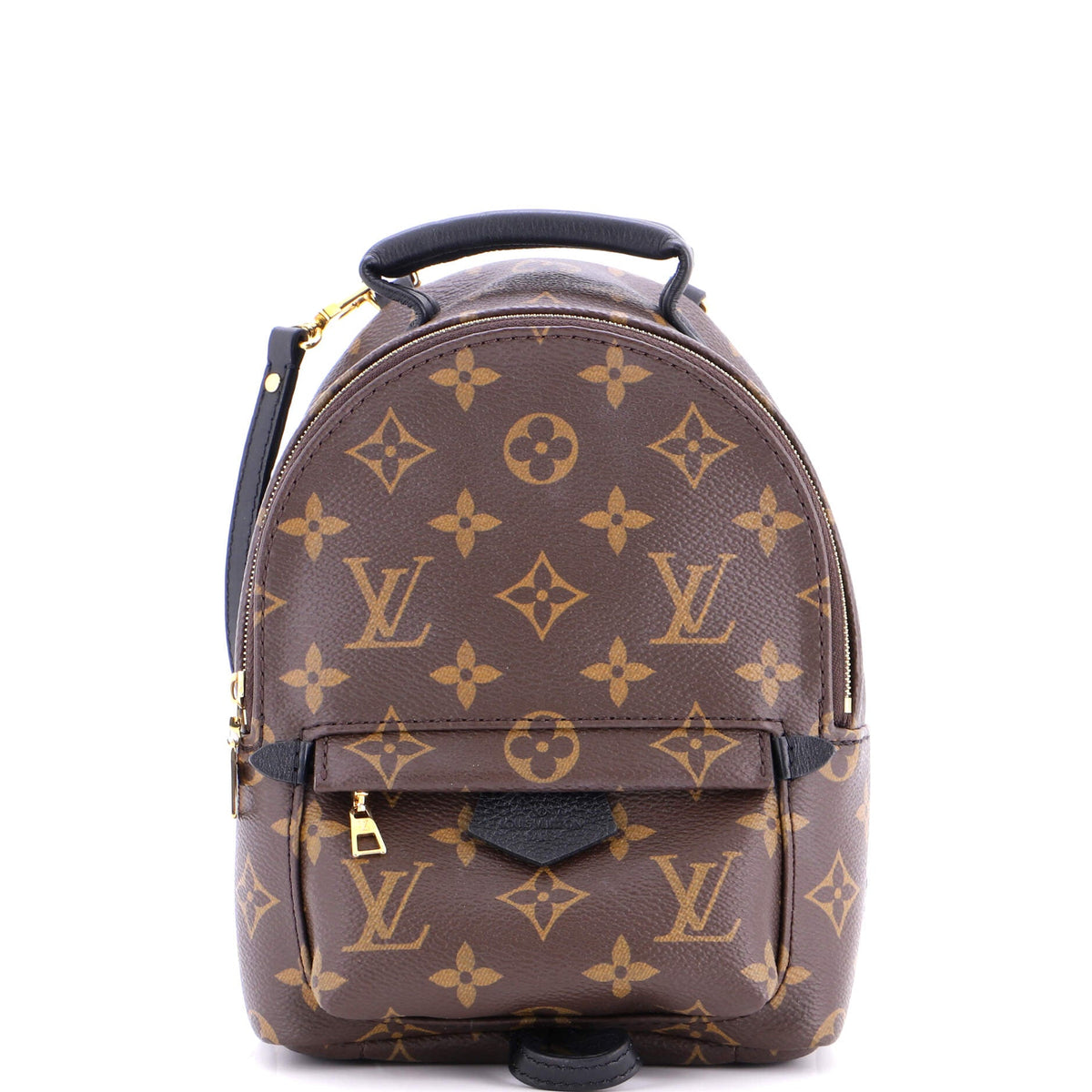 Louis Vuitton Palm Springs Backpack Monogram Canvas Mini