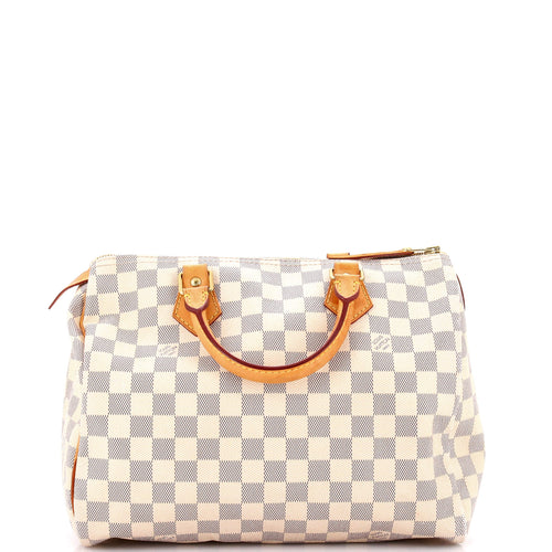 Speedy Handbag Damier 30