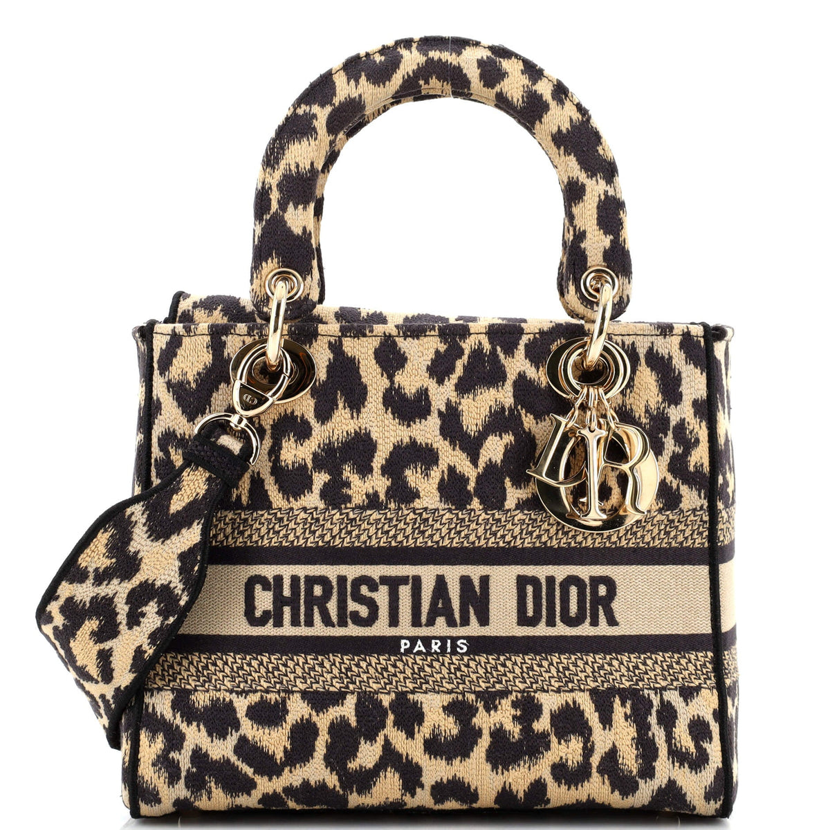 Christian Dior Lady D-Lite Bag Mizza Embroidered Canvas Medium