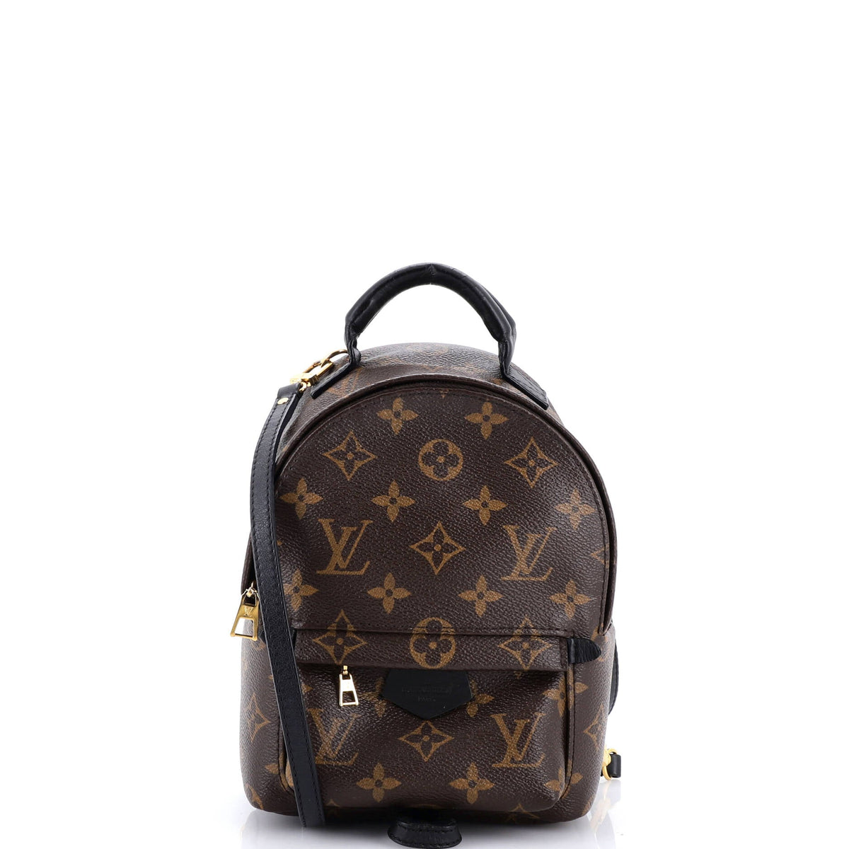 Louis Vuitton Palm Springs Backpack Monogram Canvas Mini