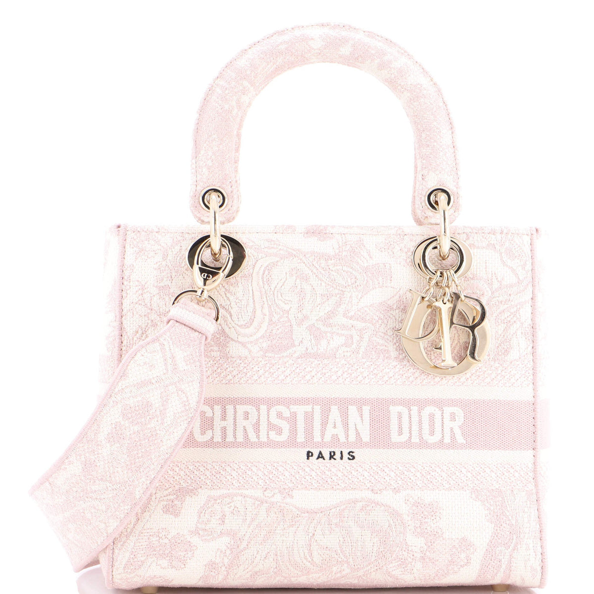 Christian Dior Toile de Jouy Lady D-Lite Bag Embroidered Canvas