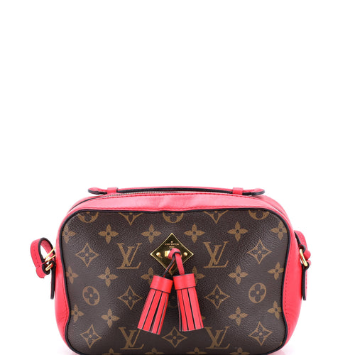 Saintonge Handbag Monogram Canvas with Leather