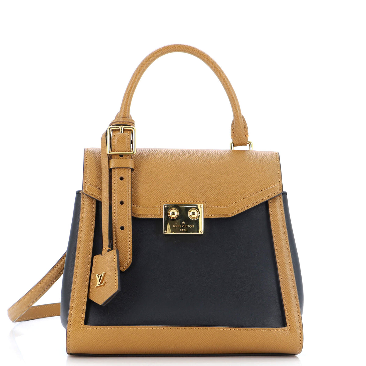 Louis Vuitton LV Arch Bag Leather PM