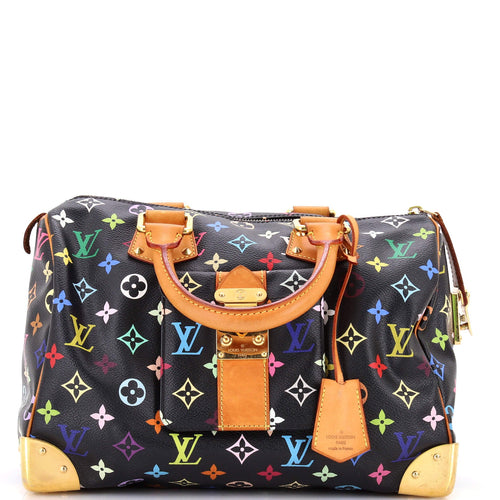 Speedy Handbag Monogram Multicolor 30