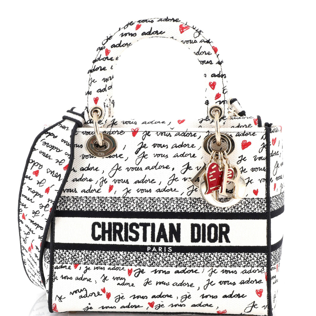 Christian Dior Lady D-Lite Bag Embroidered Canvas Medium