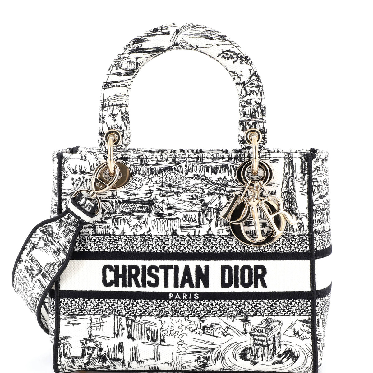 Christian Dior Lady D-Lite Bag Embroidered Canvas Medium