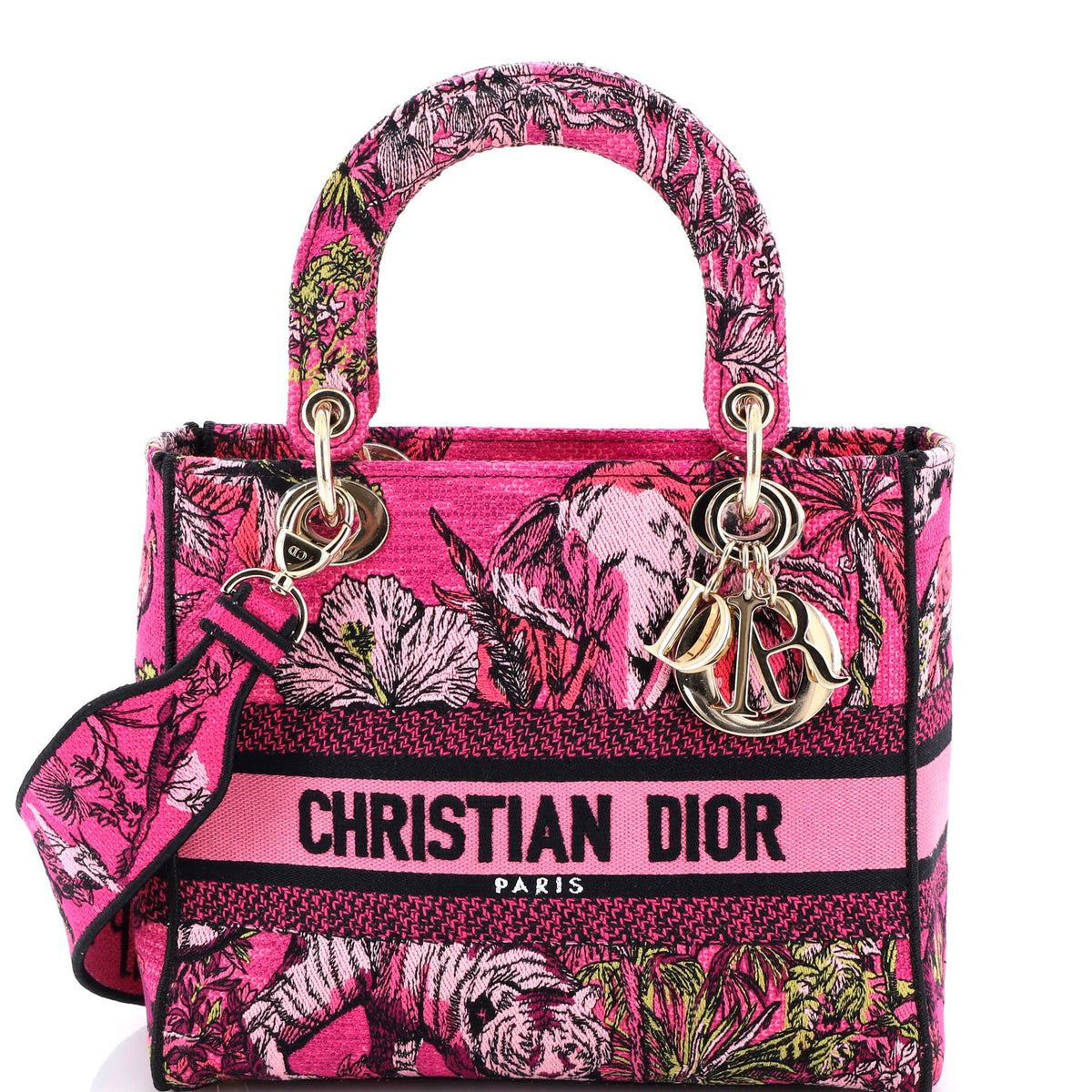 Christian Dior Lady D-Lite Bag Embroidered Canvas Medium