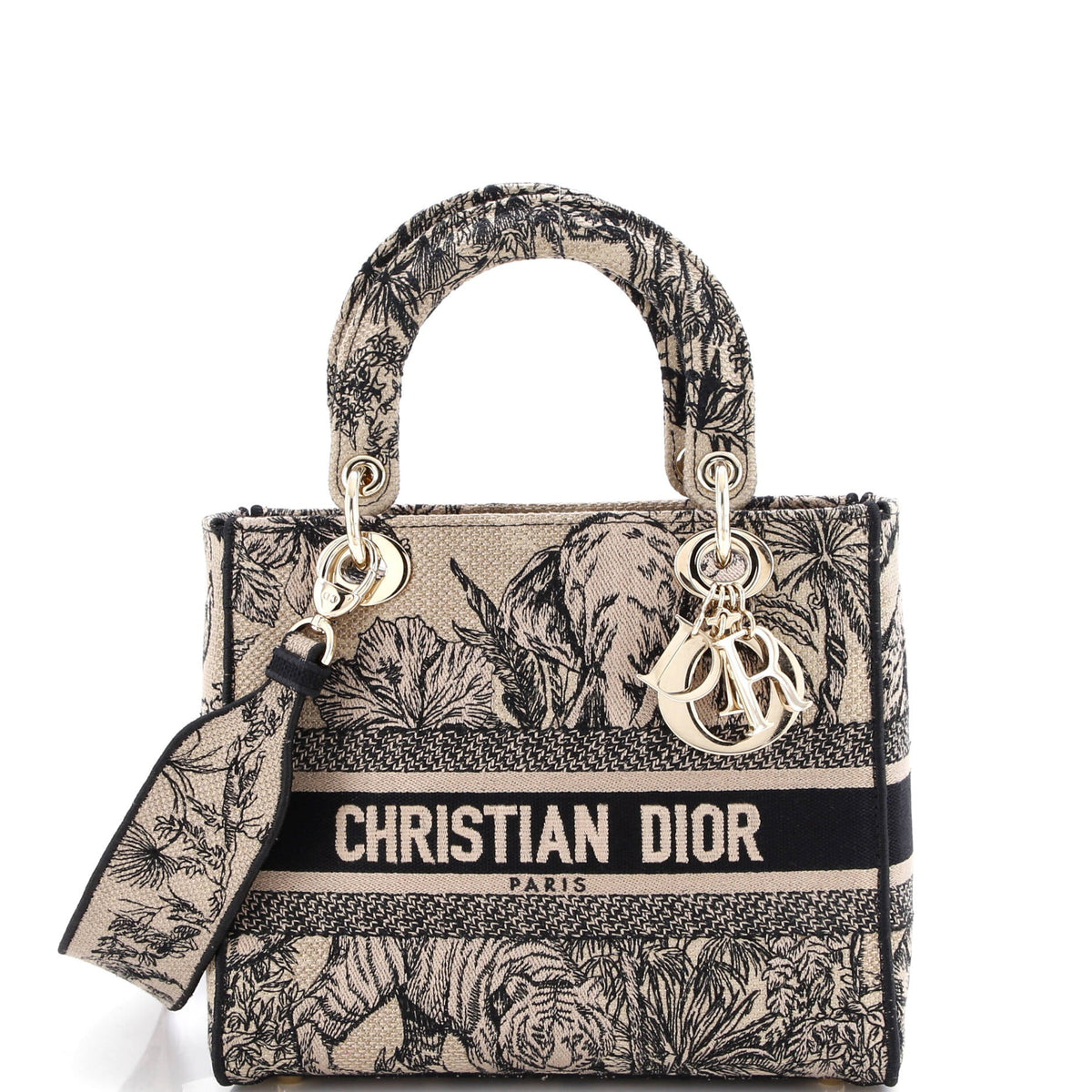 Christian Dior Lady D-Lite Bag Embroidered Canvas Medium