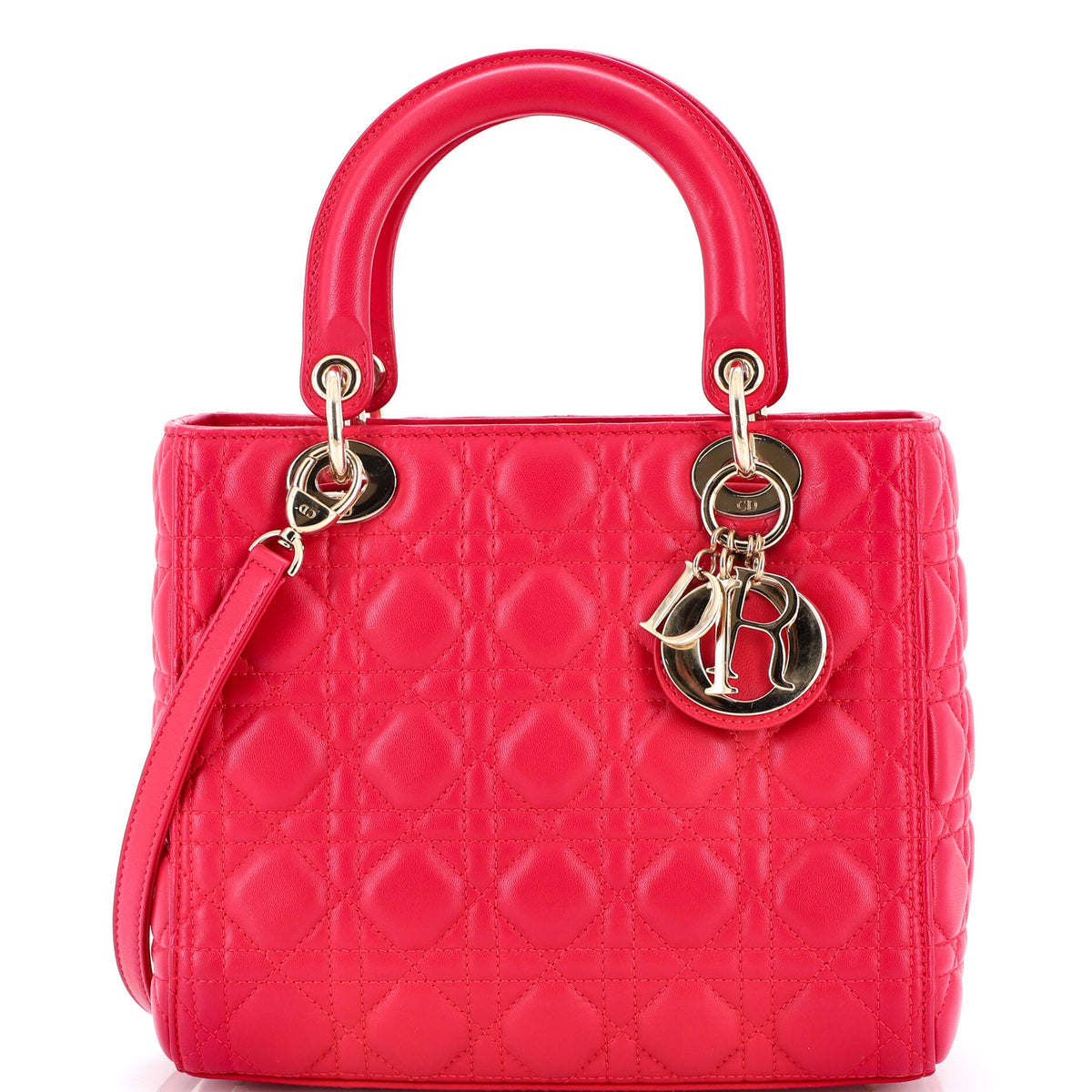 Christian Dior Lady D-Lite Bag Embroidered Canvas Medium