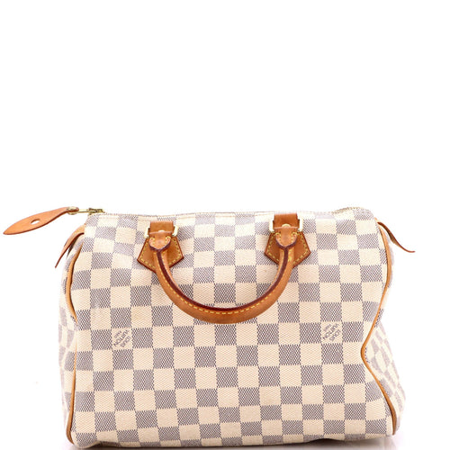 Speedy Handbag Damier 25
