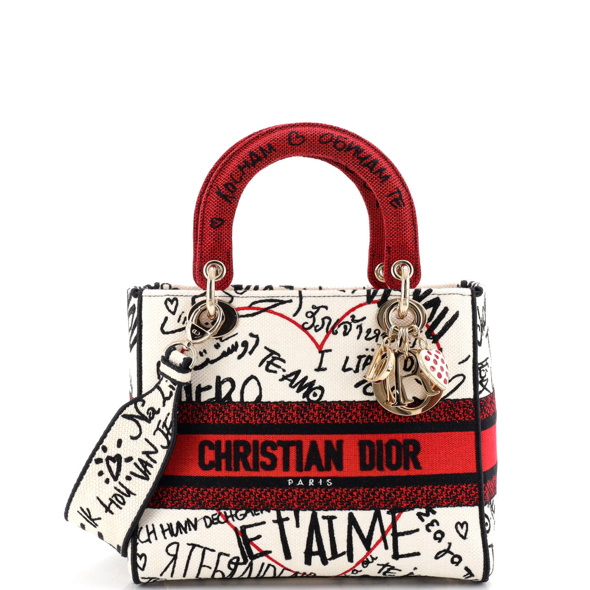 Christian Dior Lady D-Lite Bag Embroidered Canvas Medium