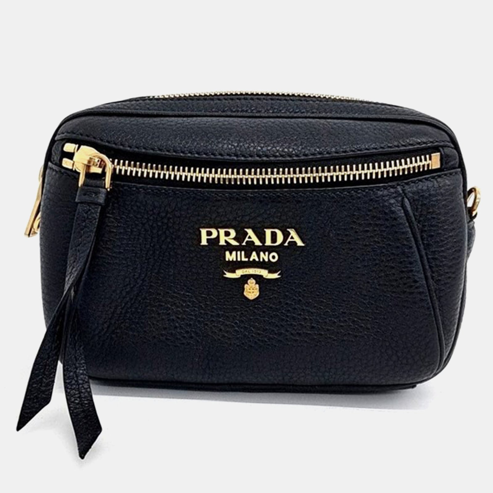 Prada Vitello Dino Belt Bag